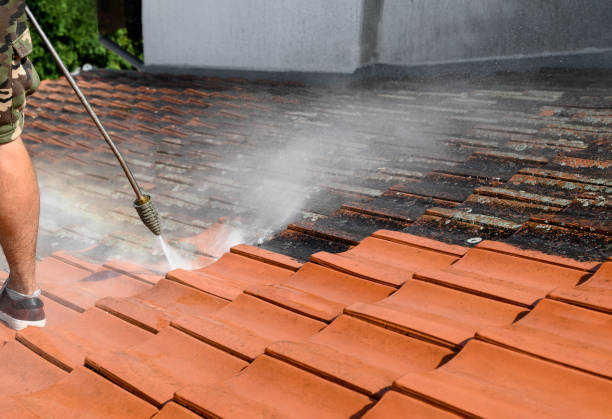 Best Roof Power Washing Services  in Duncan Falls, OH