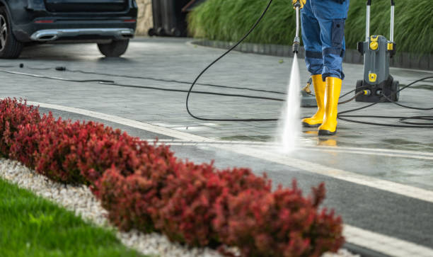 Best Roof Power Washing Services  in Duncan Falls, OH
