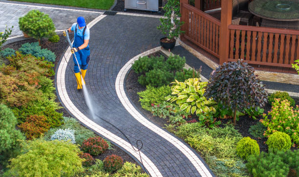 Best Pressure Washing Company Near Me  in Duncan Falls, OH